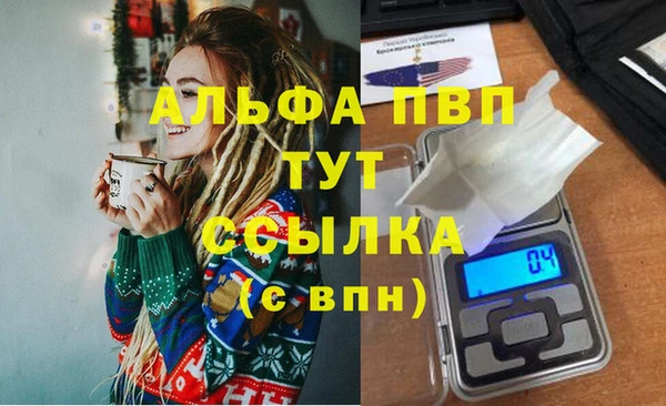 СК Елабуга