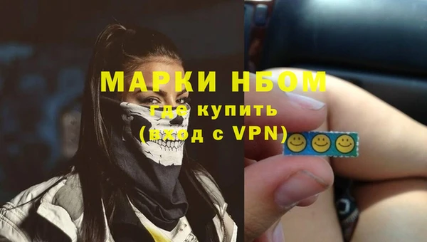 СК Елабуга