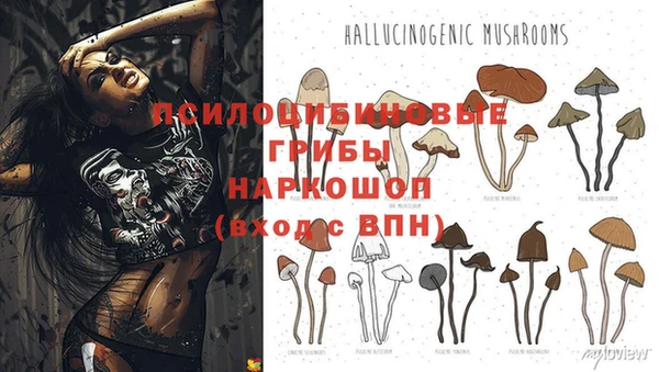 альфа пвп Ельня