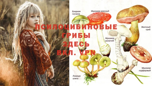 альфа пвп Ельня