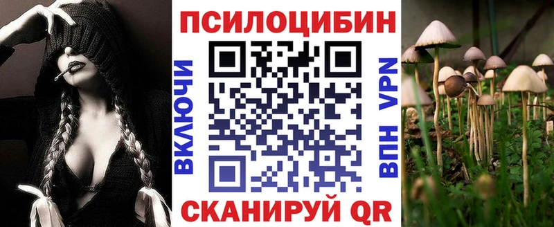 Галлюциногенные грибы прущие грибы  Купить  Луга 